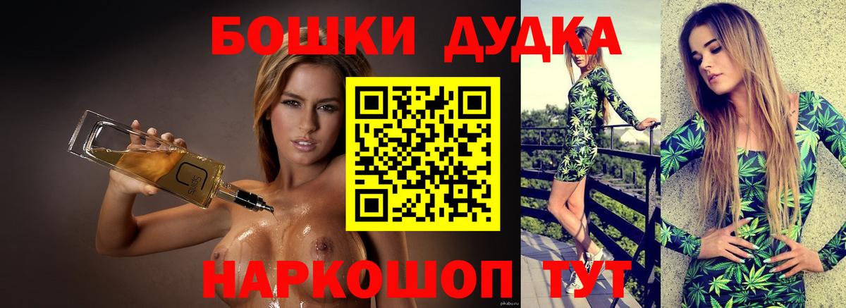 Канабис планчик Асино